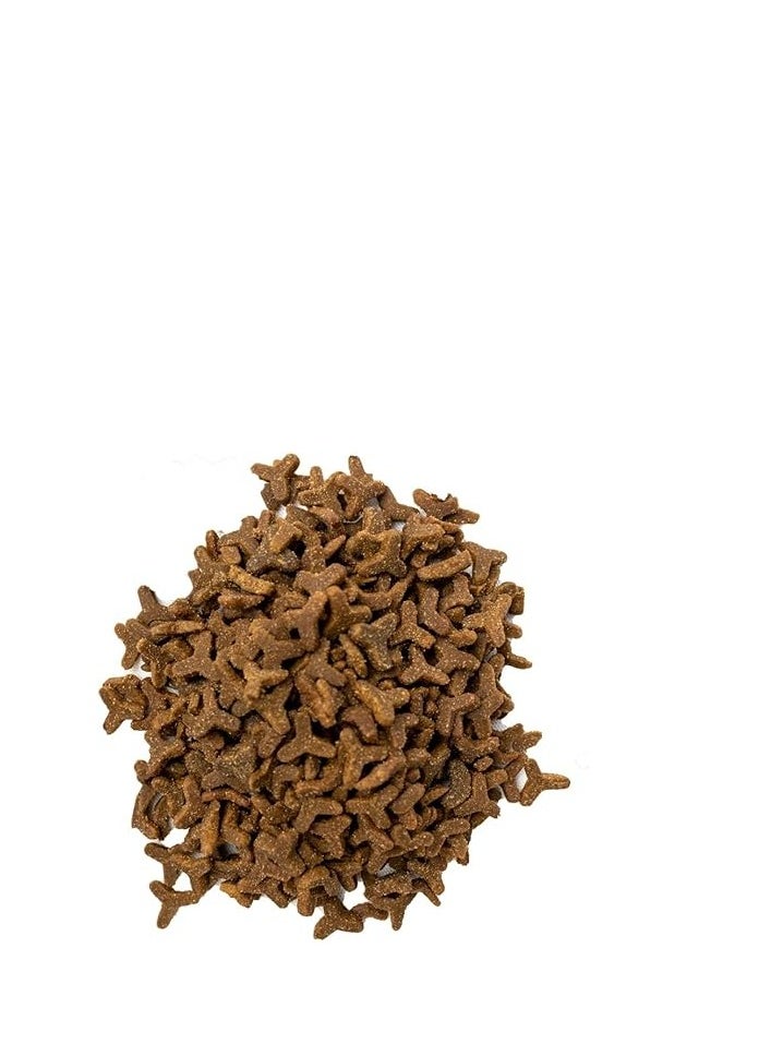 Doodzy - DOODZY DRY FOOD FOR CAT SUPER PREMIUM  15 kg - Image 1