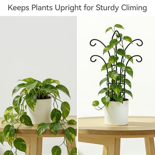 Josmimic 4 Pack Metal Small Plant Trellis for Potted Plants，Metal Indoor Plant Trellis for Climbing Plants，Black Mini Trellis Support with 5-Prong Base & 50 Ties, for Pothos Hoya Ivy, Gift for Plant Lovers - Image 3