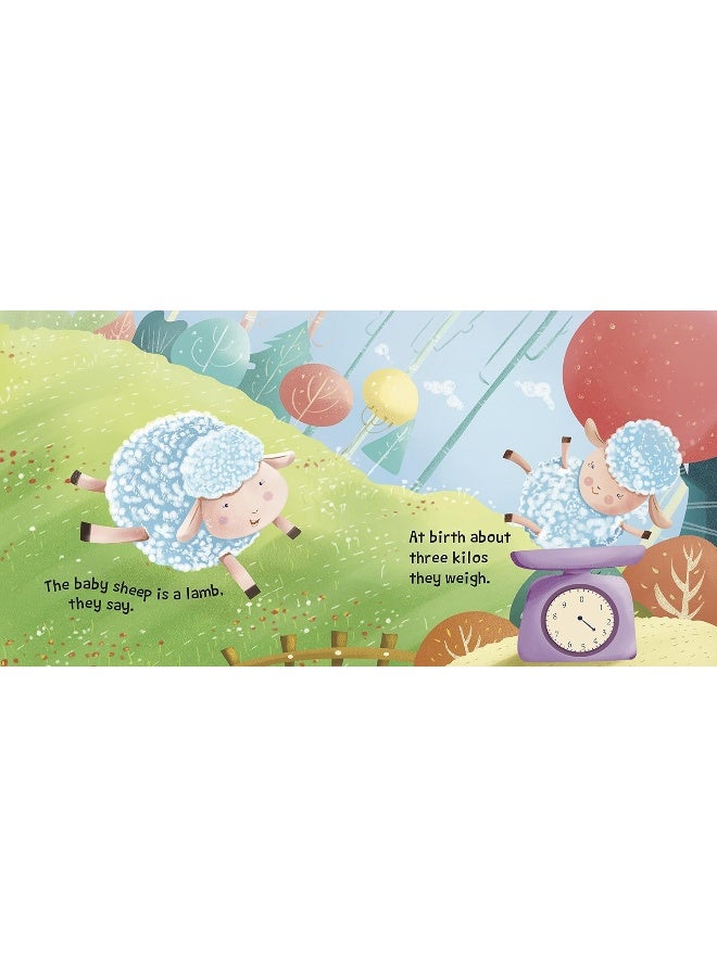 SOUND BOOK SHEEP - Image 3
