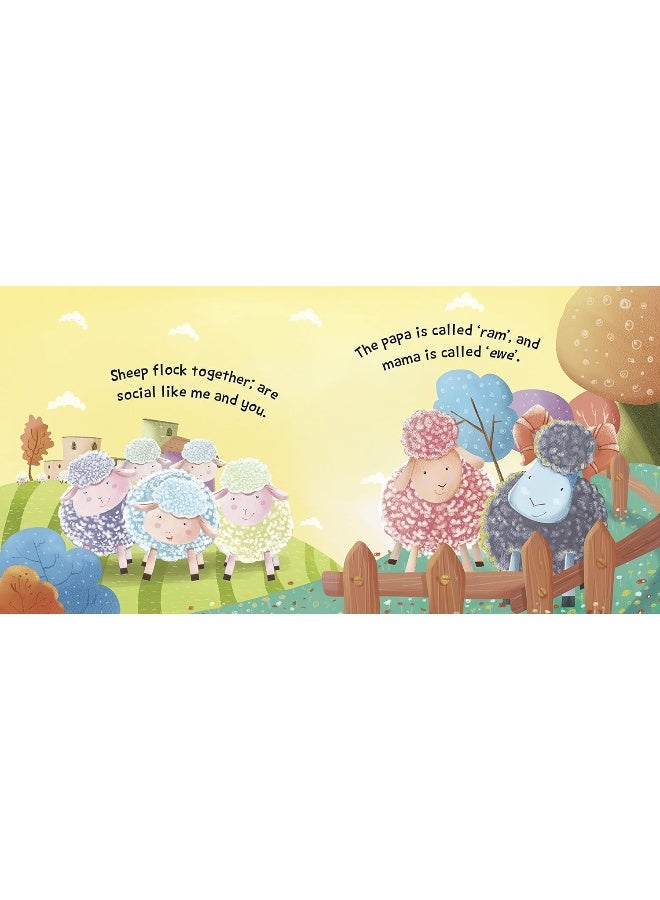 SOUND BOOK SHEEP - Image 4