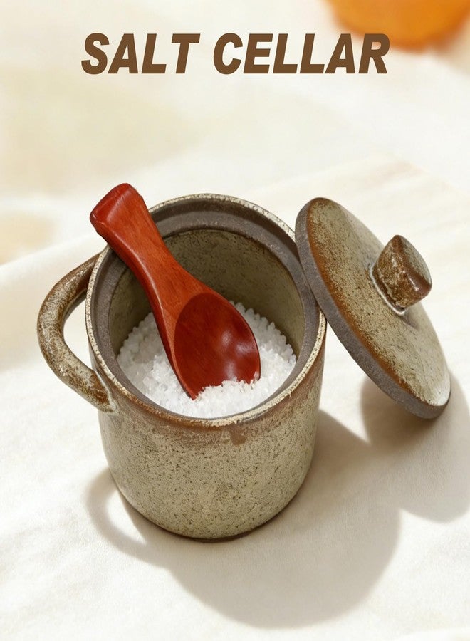 FALESHOS Salt Cellar with Lid & Spoon - Rustic Farmhouse Ceramic Spice Container for Pepper, Seasonings, and Sugar, Sturdy and Substantial, Retro Color, Perfect Housewarming Gift - Image 5