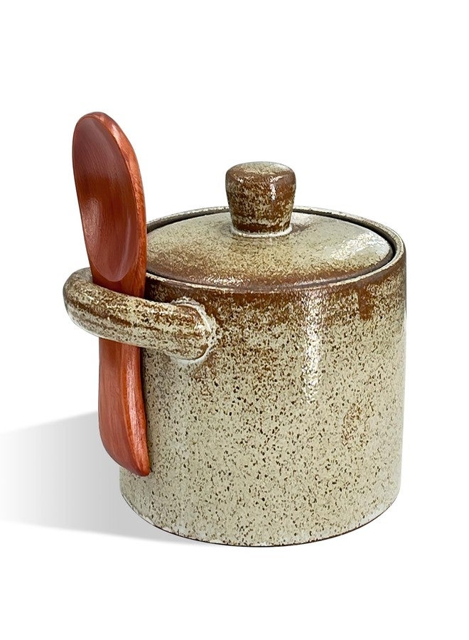 FALESHOS Salt Cellar with Lid & Spoon - Rustic Farmhouse Ceramic Spice Container for Pepper, Seasonings, and Sugar, Sturdy and Substantial, Retro Color, Perfect Housewarming Gift - Image 1