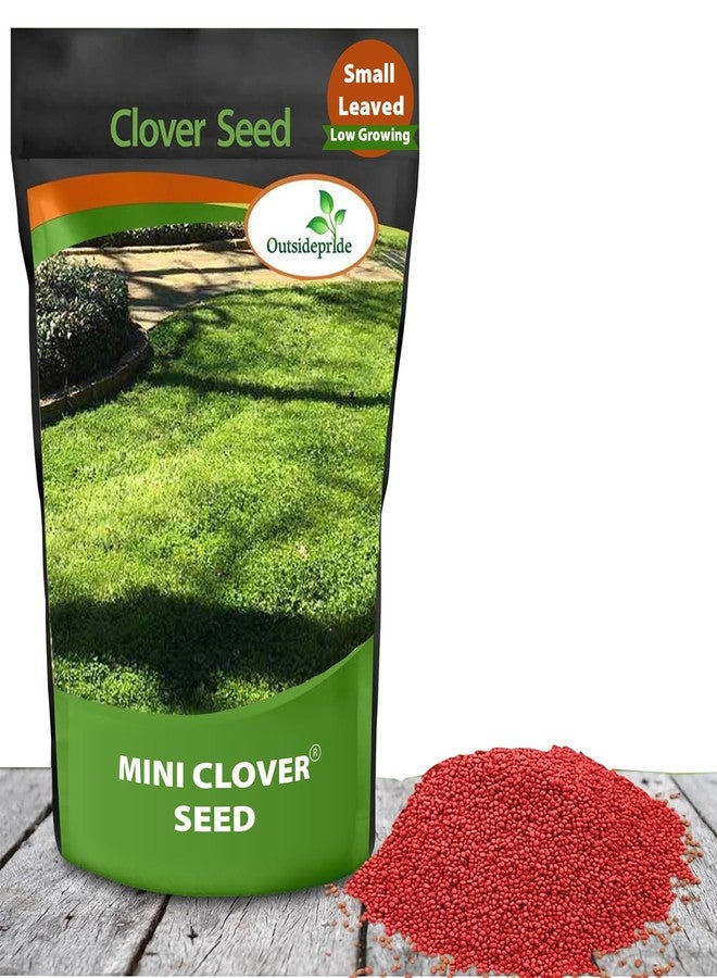 Outsidepride Perennial White MiniClover Seed - 1/4 lb. Dwarf, Small-Leaved, Drought & Wear-Tolerant Micro Clover Seeds for Lawn, Ideal Low-Maintenance & Easy to Grow Ground Cover Seeds for Home Yard - Image 1