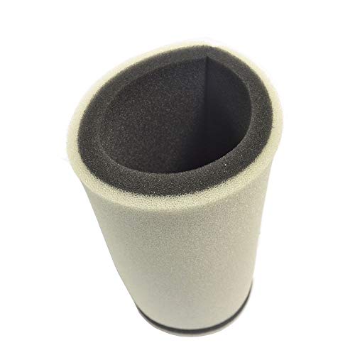 Athena (S410485200028) Air Filter - Image 2