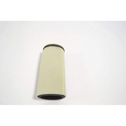 Athena (S410485200028) Air Filter - Image 3