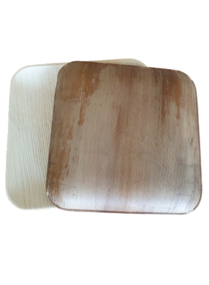 Plates Hinloon Eco Plate 10 -Inch Disposable Square Palm Leaf Plate 25 Plates Per Pack 100% Eco-Friendly Biodegradable, Compostable Plates - Image 2