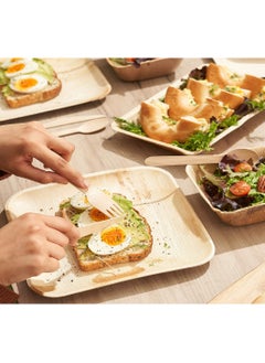 Plates Hinloon Eco Plate 10 -Inch Disposable Square Palm Leaf Plate 25 Plates Per Pack 100% Eco-Friendly Biodegradable, Compostable Plates  - Image 4