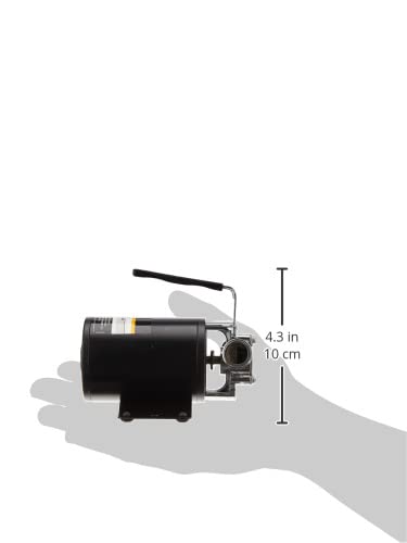 Wayne 57716-WYN1 PC1-12V Bronze Plated Transfer 350 Gallons Per Hour-Portable Multi-Use Pump - Image 3