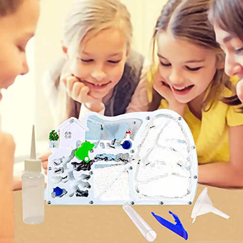 EXBEPE Large Sand Ant Farm Castle,Ant Habitat with Dinosaur Digging to Study Ant Colony Ecosystem Behavior,Science Educational Gift for Kids - Image 2
