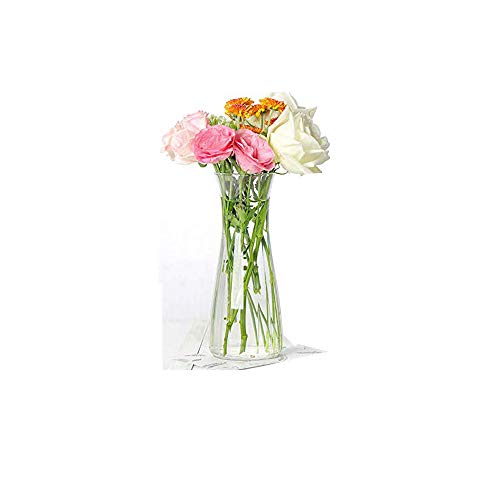 Incrizma 24 cm Glass Flower Vase for Home Décor – Elegant Long Neck Decorative Vase for Fresh & Artificial Flowers – Modern Table Centerpiece for Living Room, Dining Table, Office & Gifting - Image 4