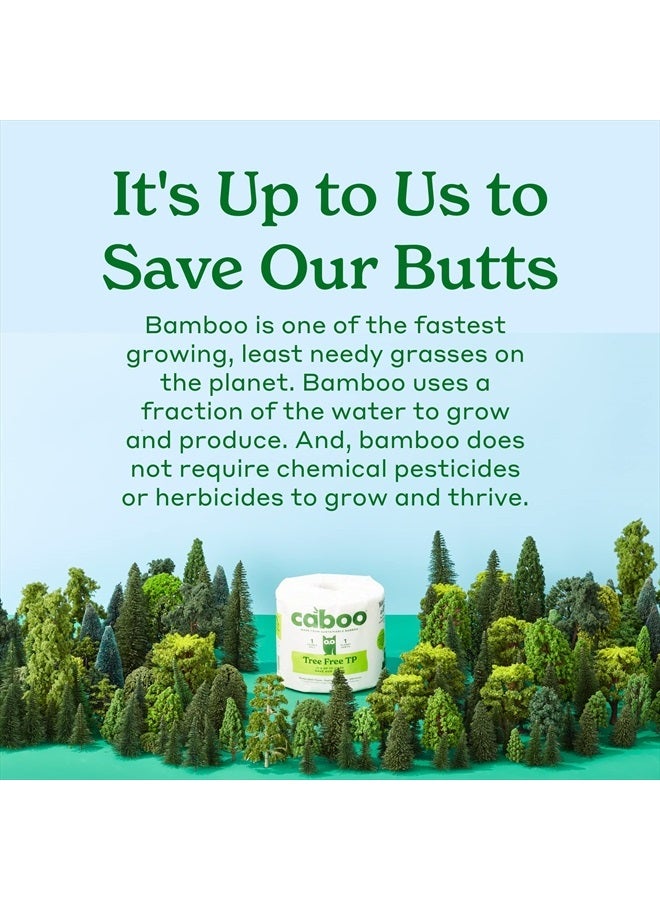 CABOO Tree Free Toilet Paper, Septic Safe RV Bath Tissue, Tree Free, Eco Friendly,Chemical Free Toilet Paper, Fast Dissolving Soft 2 Ply Sheets - 8 Rolls of 500 Sheets, Total 4000 Sheets - Image 5