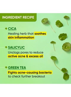 Dot & Key Cica Face Wash For Acne Prone Skin, 2% Salicylic Acid Face Wash With Green Tea | For Oily & Sensitive Skin | Sulphate Free Face Wash For Men & Women | Oil Control Face Wash With Zinc | 175Ml  - Image 5