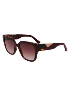 LACOSTE FULL RIM ACETATE INJECTED LACOSTE SUNS L6044S 5420 (214) HAVANA  - Image 1