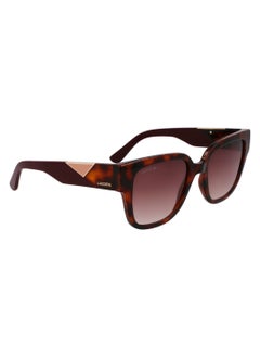 LACOSTE FULL RIM ACETATE INJECTED LACOSTE SUNS L6044S 5420 (214) HAVANA  - Image 3
