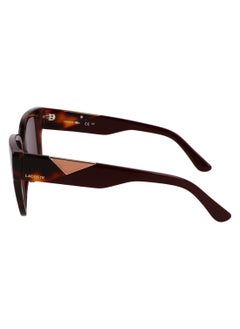 LACOSTE FULL RIM ACETATE INJECTED LACOSTE SUNS L6044S 5420 (214) HAVANA  - Image 4