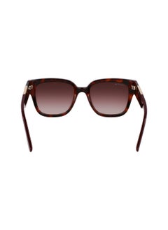 LACOSTE FULL RIM ACETATE INJECTED LACOSTE SUNS L6044S 5420 (214) HAVANA  - Image 5