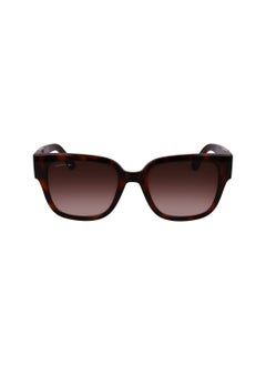 LACOSTE FULL RIM ACETATE INJECTED LACOSTE SUNS L6044S 5420 (214) HAVANA  - Image 2