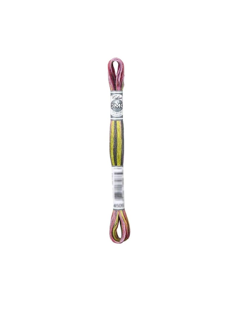 DMC DMC Coloris 6-Strand Embroidery Cotton Floss 8.7yd Granite Coast  - Image 2