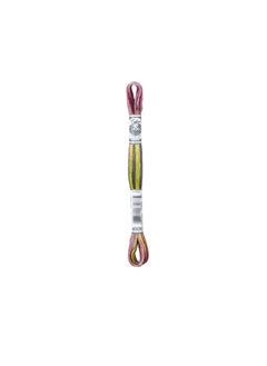 DMC Coloris 6-Strand Embroidery Cotton Floss 8.7yd Granite Coast