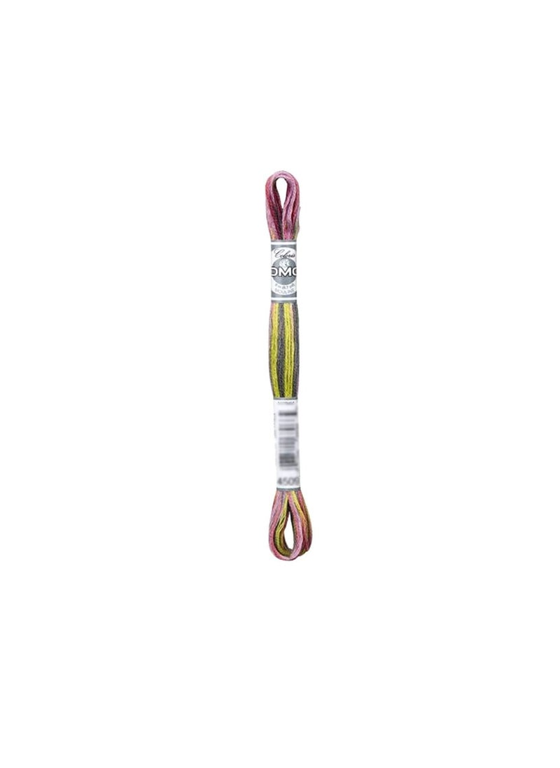 DMC DMC Coloris 6-Strand Embroidery Cotton Floss 8.7yd Granite Coast  - Image 1