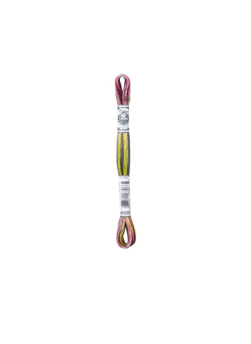 DMC DMC Coloris 6-Strand Embroidery Cotton Floss 8.7yd Granite Coast  - Image 3