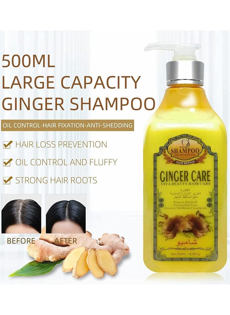 Ginger Infused Hair Care 100% Natural Herbal Formula Shampoo & Dye - 500ml