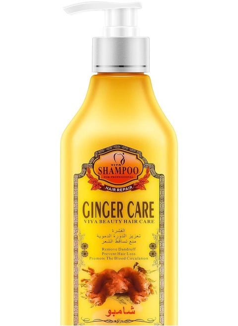 Ginger Infused Hair Care 100% Natural Herbal Formula Shampoo & Dye - 500ml