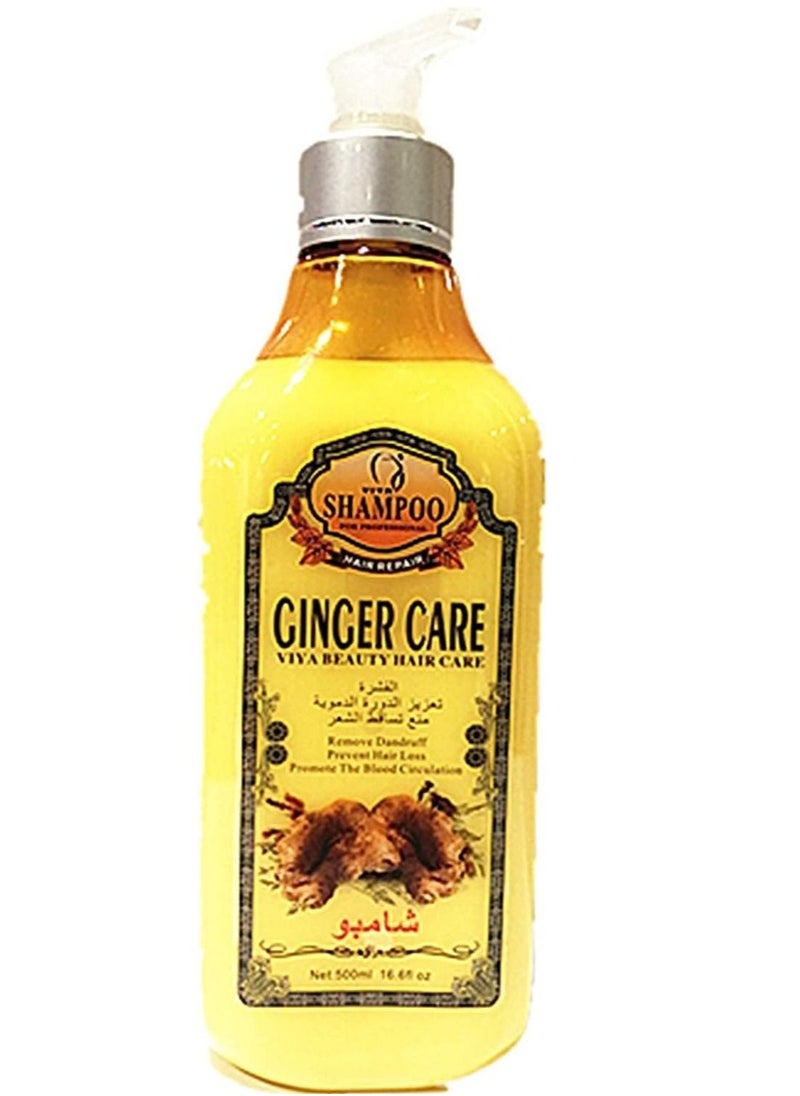 Ginger Infused Hair Care 100% Natural Herbal Formula Shampoo & Dye - 500ml