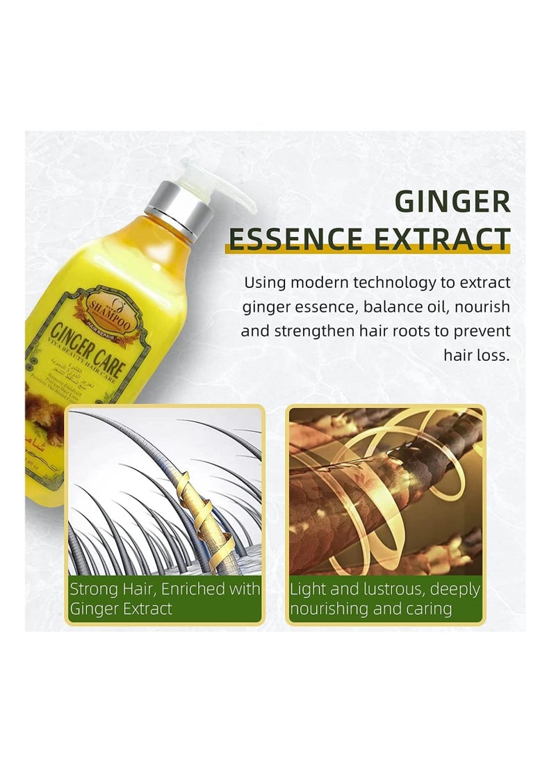 Ginger Infused Hair Care 100% Natural Herbal Formula Shampoo & Dye - 500ml