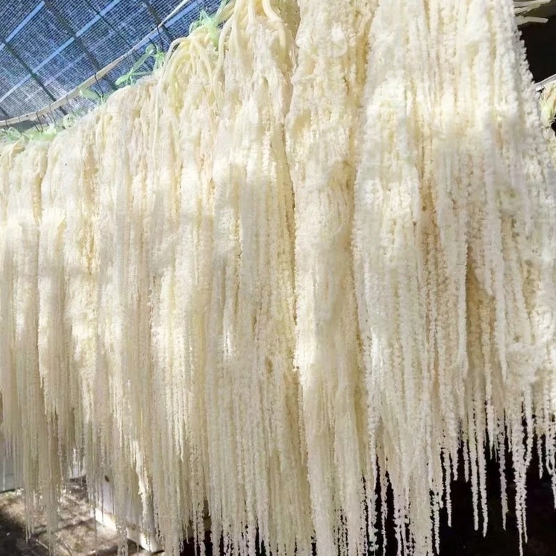 Bluejw Amaranthus Wedding Decor Flower – Natural Dried Amaranth Preserved Hanging Dried Plants for Home & Event Decoration - Image 5
