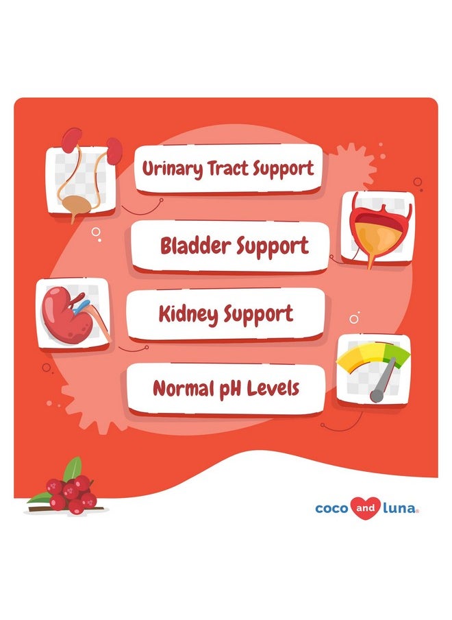 Coco and Luna Coco and Luna Cranberry for Dogs - 90 Soft Chews - Urinary Tract Support, Bladder Health, Dog UTI, Bladder Stones, Incontinence Support, Cranberry Supplement  - Image 2
