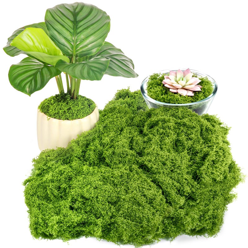 Draupnir Fake Green Moss for Plants Indoor 53OZ Fake Moss for Crafts Preserved for DIY Decorative mossTable Centerpieces Decor Fairy Garden Floral Wedding 150g