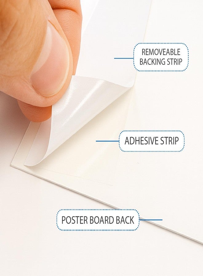 Royal Brites White Quick Stick Poster Board, 14″x22″ - 4 Pack - Self-Adhesive, Peel and Stick Poster Board with Mounting Strips - Heavyweight 20 PT, 300 GSM - C1S Coated - No Tape Needed - Image 3