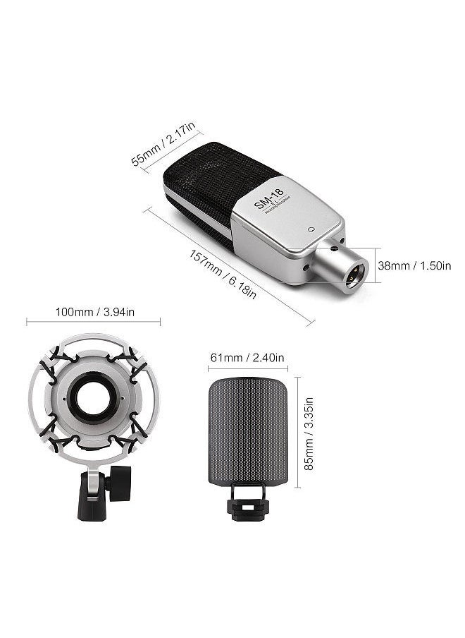 TAKSTAR - SM-18 EL Professional Recording Microphone Cardioid Condenser XLR Mic Kit with Adjustable Shock Mount Metal Pop Screen for Studio Vocal Music Instrument Live Stream Performance - Image 1