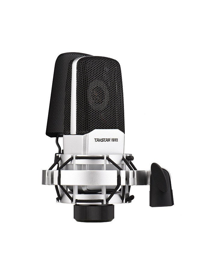 TAKSTAR - SM-18 EL Professional Recording Microphone Cardioid Condenser XLR Mic Kit with Adjustable Shock Mount Metal Pop Screen for Studio Vocal Music Instrument Live Stream Performance - Image 1
