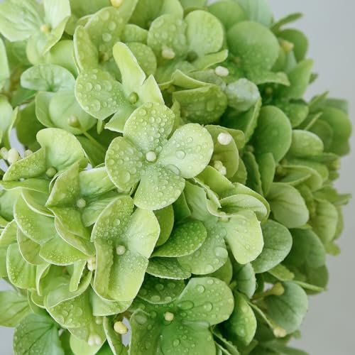 ZYTUYO 4PCS Green Fake Real Touch Hydrangea Flowers 20'' Lifelike Latex Artificial Hydrangeas for Spring Home Decor Outdoor Garden Porch Indoor Bathroom Living Room Kitchen Table Centerpiece - Image 2