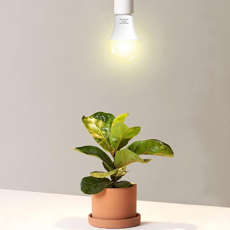 Wiyifada 6 Pack Full Spectrum Grow Light Bulbs,A19 Grow Lights for Indoor Plants,Dimmable E26 9W Grow Bulb Replace up to 100W,Plant Lights for Indoor Growing,Flowers,Greenhouse,Indore - Image 4