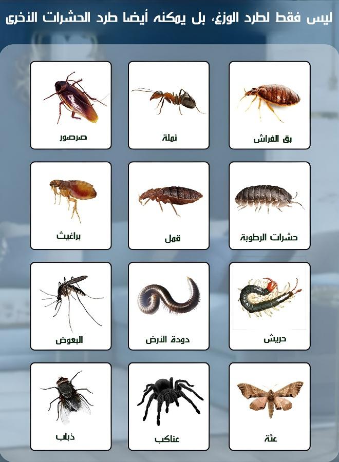 بخاخ مبيد الحشرات المنزلي برائحة منعشة - Image 4