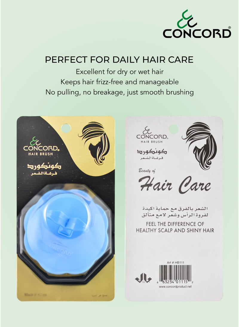 CONCORD - Korea Round Hair Brush, Scalp Massage and Hair Care Brush for Daily Use, Smooth and Flexible, Made in KOREA, LIMITED TIME OFFER - Pack of 2 (1 color as shown + 1 with Random color) - Image 5