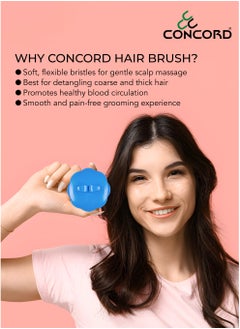 CONCORD CONCORD - Korea Round Hair Brush (Blue), Scalp Massage and Hair Care Brush for Daily Use, Smooth and Flexible, Made in KOREA, LIMITED TIME OFFER - Pack of 2 (1 color as shown + 1 with Random color)  - Image 4