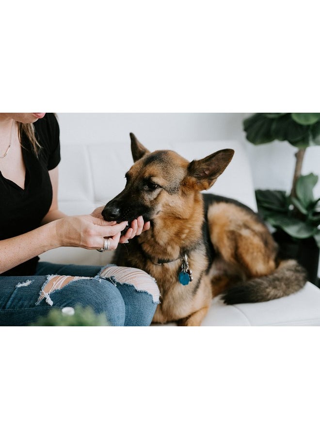 بانكين بات - زيت التسنين للجراء من Punkin Butt for Pets لوقف المضغ وتخفيف الانزعاج | طبيعي بالكامل، عضوي، آمن للكلاب، خالٍ من المواد الكيميائية (2 أونصة) - Image 1