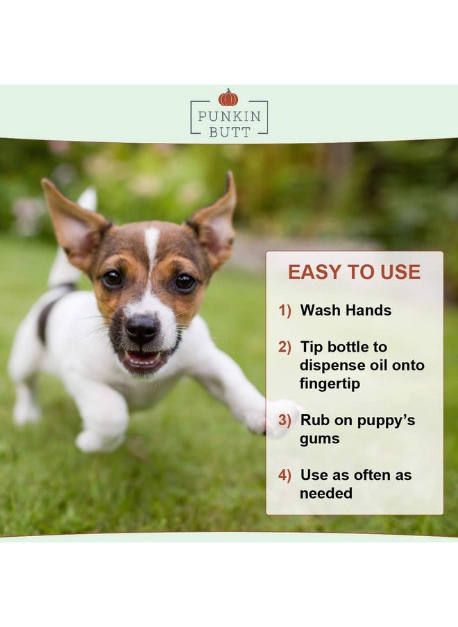 بانكين بات - زيت التسنين للجراء من Punkin Butt for Pets لوقف المضغ وتخفيف الانزعاج | طبيعي بالكامل، عضوي، آمن للكلاب، خالٍ من المواد الكيميائية (2 أونصة) - Image 1