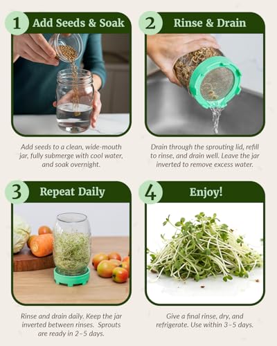 Elementi Sprouting Kit - Set of 2 Sprouting Lids for Wide Mouth Mason Jars, Sprouts Growing Kit for Bean Sprouts (Mushroom) - Image 4