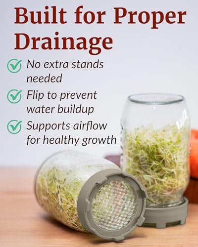 Elementi Sprouting Kit - Set of 2 Sprouting Lids for Wide Mouth Mason Jars, Sprouts Growing Kit for Bean Sprouts (Mushroom) - Image 2