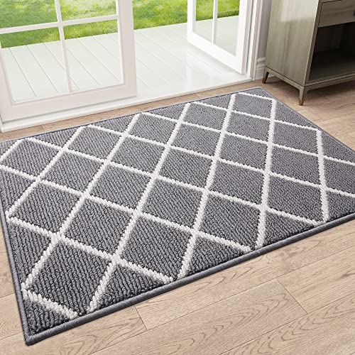 Finchitty Indoor Door Mat, Dirt Resistant and Absorbent, Low-Profile, Non-Slip, Washable Inside Floor Mats for Front Door, Back, and Entrance, 36" x 24", Grey - Image 1