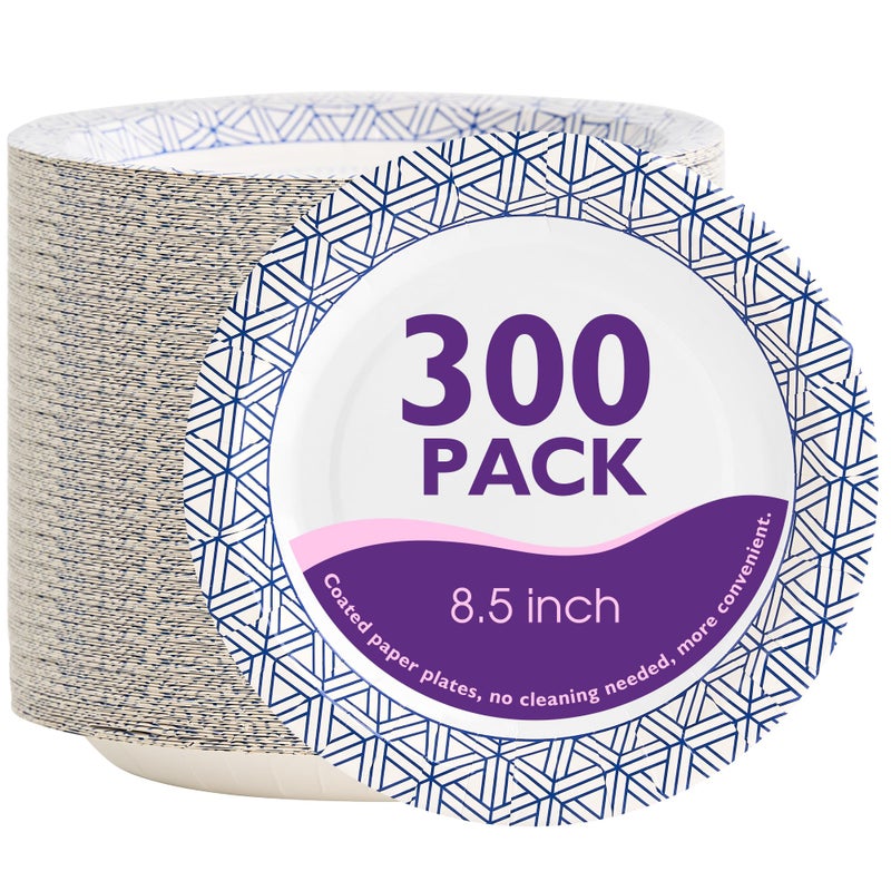PACKINNO Disposable Paper Plates 8.5 Inch 300 Count, Soak Proof and Cut Resistant Heavy Duty Paper Plates Bulk for Parties, Picnics, Camping, and Everyday Meals - Image 1