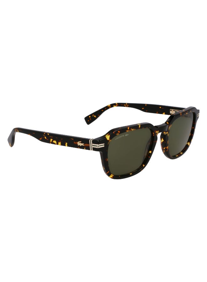 LACOSTE نظارات شمسية لاكوست كاملة الإطار من الأسيتات L6046S N 5220 (230) داكن هافانا - Image 1