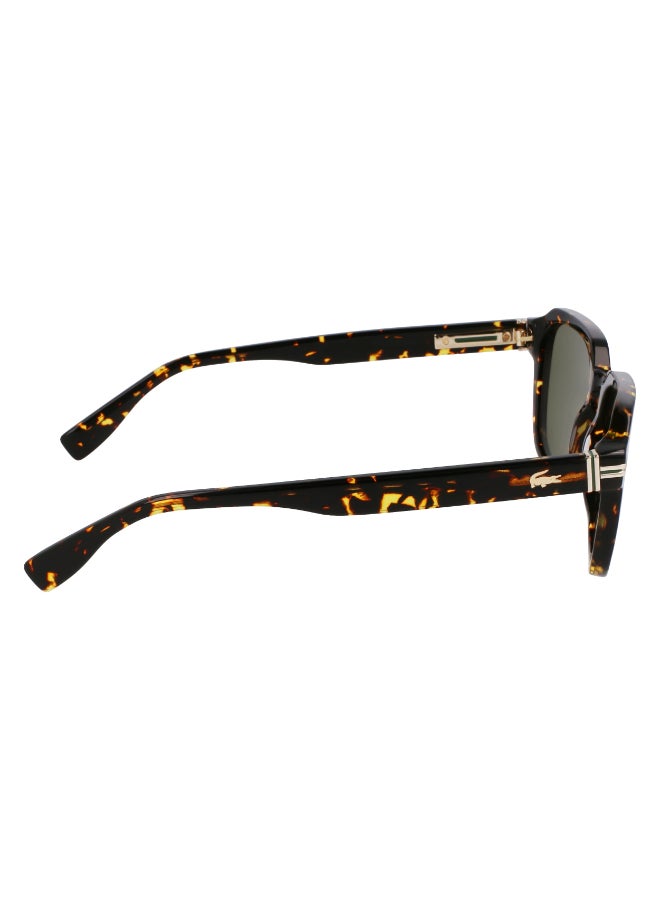 LACOSTE نظارات شمسية لاكوست كاملة الإطار من الأسيتات L6046S N 5220 (230) داكن هافانا - Image 4