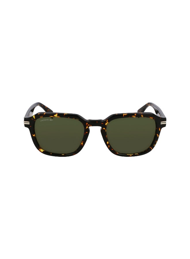 LACOSTE نظارات شمسية لاكوست كاملة الإطار من الأسيتات L6046S N 5220 (230) داكن هافانا - Image 3