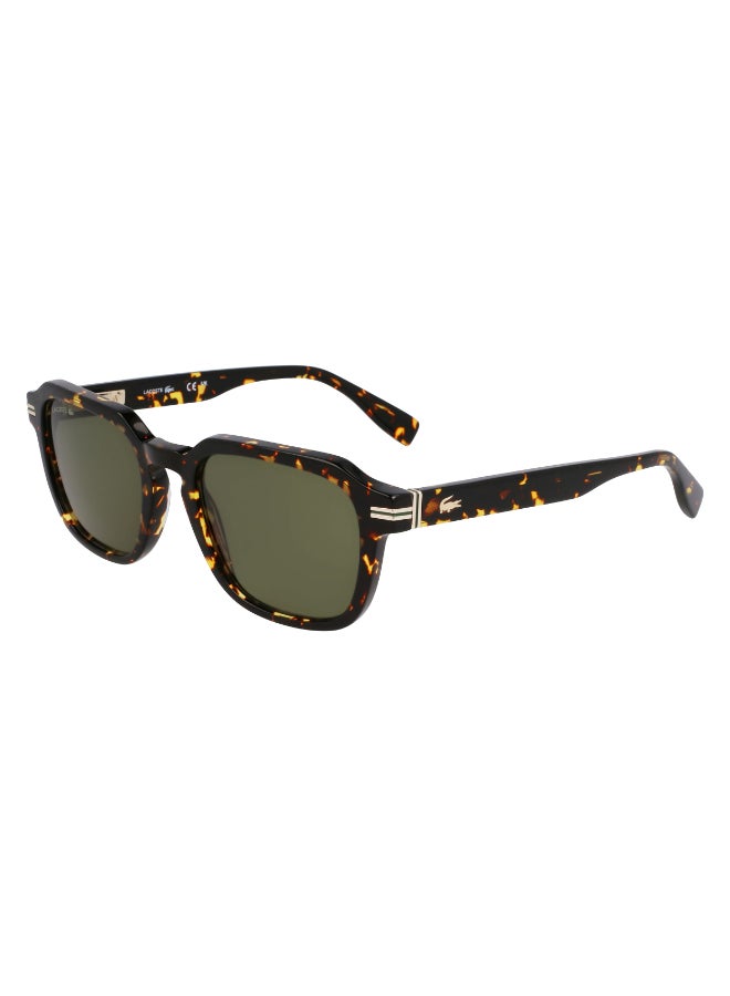 LACOSTE نظارات شمسية لاكوست كاملة الإطار من الأسيتات L6046S N 5220 (230) داكن هافانا - Image 2